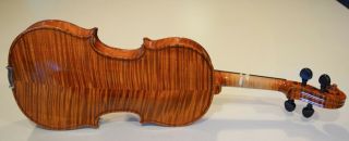 4/4 Full Size Vintage Gibson Violin Model V - 100 - 1142 9
