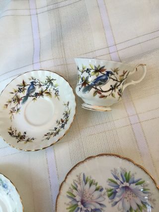 3 Vintage Floral Tea Cups & Saucers Bone China.  Royal Albert & Stafford,  BLUE JAY 3