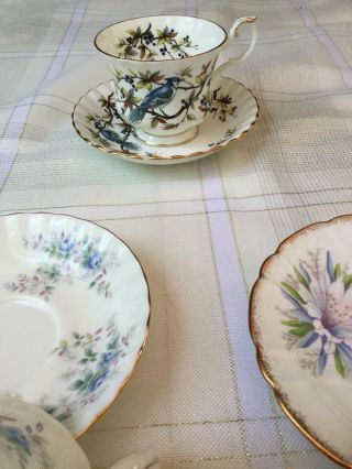 3 Vintage Floral Tea Cups & Saucers Bone China.  Royal Albert & Stafford,  BLUE JAY 5