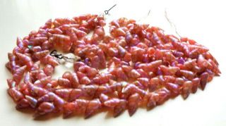 Vtg Aboriginal Tasmanian Rare Lg Bright Pink Maireener Shell 3 - Strand Necklace