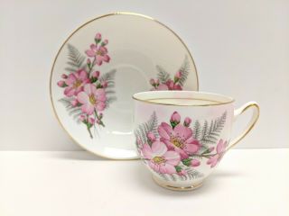 Vintage Duchess Bone China Tea Cup & Saucer Apple Blossom And Fern Rare