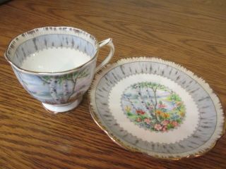 Royal Albert Tea Cup And Saucer Silver Birch Bone China England