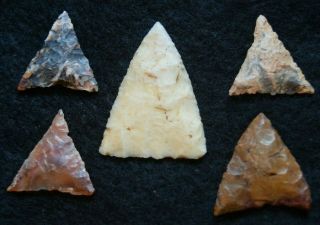 5 Quality Sahara Neolithic Triangular Tools,  Color