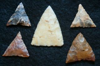 5 quality Sahara Neolithic triangular tools,  color 2