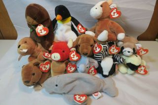 14 Vintage Beanie Babies - 1995 Tush Tags - 3rd Gen Hang Tags