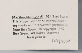 Large Vintage Hand - Signed Bert Stern Marilyn Monroe Dior Dress Lithograph Print 9
