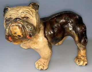 Rare Size Vintage Possibly Hubley Painted Cast Iron Bulldog Doorstop