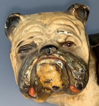 RARE SIZE VINTAGE POSSIBLY HUBLEY PAINTED CAST IRON BULLDOG DOORSTOP 2