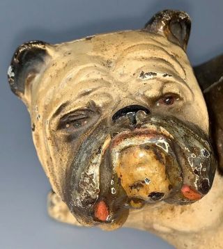 RARE SIZE VINTAGE POSSIBLY HUBLEY PAINTED CAST IRON BULLDOG DOORSTOP 3