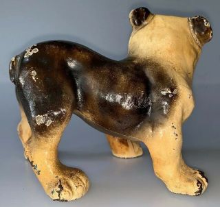 RARE SIZE VINTAGE POSSIBLY HUBLEY PAINTED CAST IRON BULLDOG DOORSTOP 4