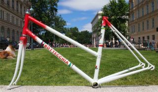 Vintage Rare 1980s Bottecchia Sprint Ladies Road Bike Steel Frame,  Fork