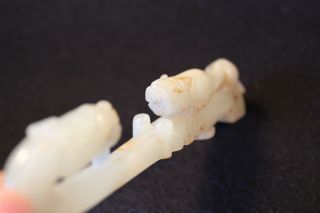 Rare Chinese Antique White Jade Belt Hook Dragon and Chilong 4