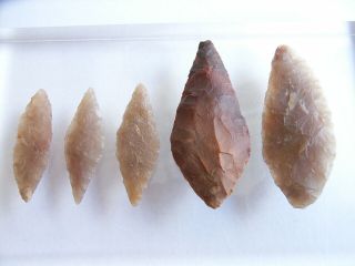 5 Ancient Neolithic Flint Arrowheads,  Stone Age,  Very Rare Top