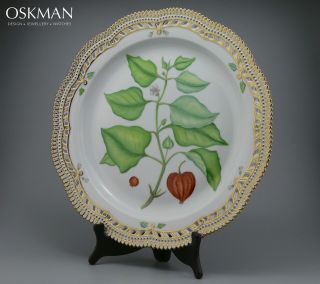 Incredible Serving Plate nr 324 - Royal Copenhagen Flora Danica - Rare Size 3