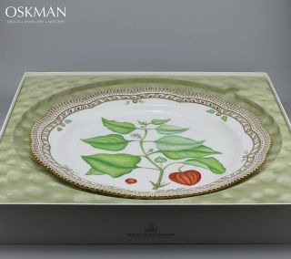 Incredible Serving Plate nr 324 - Royal Copenhagen Flora Danica - Rare Size 5
