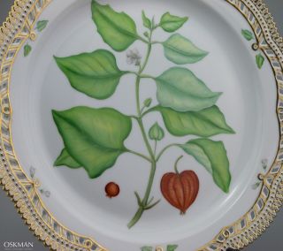 Incredible Serving Plate nr 324 - Royal Copenhagen Flora Danica - Rare Size 7