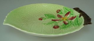 Carlton Ware Apple Blossom Pin Or Trinket Dish In Green Pattern Va77