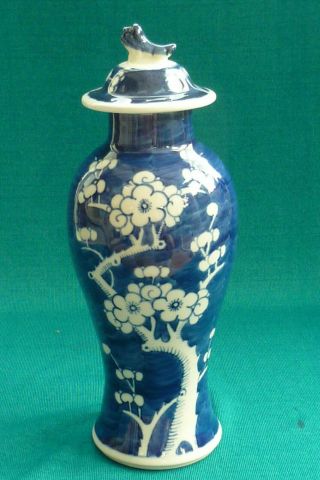 Lovely Tall Chinese Blue & White Lidded Prunus Vase Jar