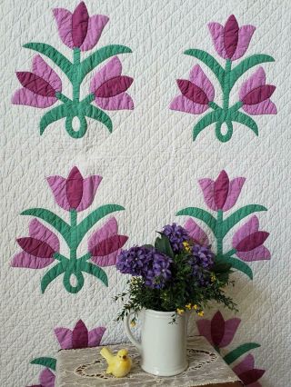 Densely Quilted Vintage 30s Purple Triple Tulip Applique QUILT 84x67 