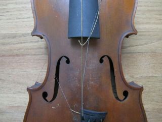 Hermann Fiedler of Dresden,  Violin modeled on a Stradivarius,  c.  1910 - 20 3