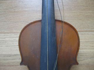 Hermann Fiedler of Dresden,  Violin modeled on a Stradivarius,  c.  1910 - 20 4