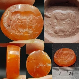 Roman Ancient Rare Unique Agate Stone Lion & Horse Attack Seal 42