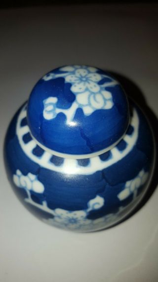 Antique Chinese Blue&white Prunus Decorated Porcelain Ginger/jar 19th/ 20th