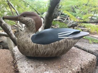 HEN HOODED MERGANSER HUNTING DECOY - STAN VATH OLIVENHAIN CA 3