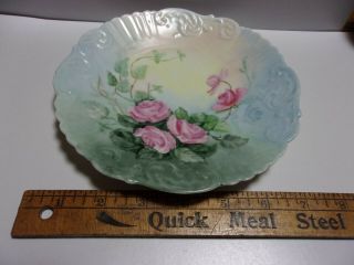 An Antique/vintage Hand Painted Plate With Roses
