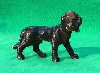 1930 Hubley Iron Male Dog Coonhound Or Bloodhound Paint Lancaster Pa