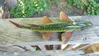 Pickerel Fish Decoy carved by Harley Ragan - Spearing Lure 10