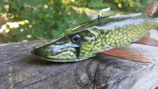 Pickerel Fish Decoy carved by Harley Ragan - Spearing Lure 3