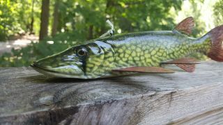 Pickerel Fish Decoy carved by Harley Ragan - Spearing Lure 6