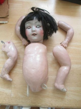 Bisque Doll Body 15 " Morimura Brothers Japan 1915 - 1926 - - Needs Stringing