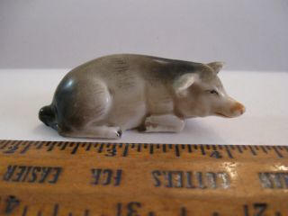 Very Rare Antique Ernst Bohne Sohne Miniature Porcelain Wild Boar Pig Figurine
