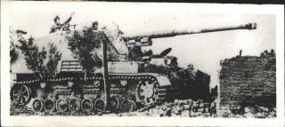 Wwii German Sd.  Kfz.  164 Nashorn " Hornet " Tank Destroyer In Russia Photo - B122