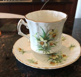 Rare Hammersley Tea Cup And Saucer Vintage Yellow Jonquils From Old England