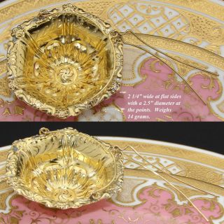 Elegant Antique French 18k Gold on Sterling Silver Vermeil Tea Leaf Strainer 3