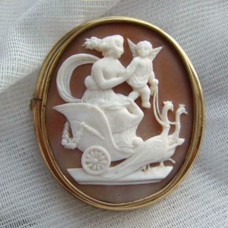 Unusual Victorian Venus And Cupid On Chariot Pulled By Peacocks Cameo Brooch