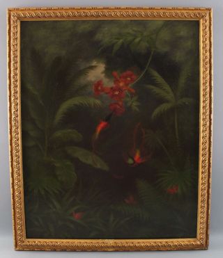 Antique Hummingbird Butterfly Botanical Tropical Amazon Rainforest Oil Painting