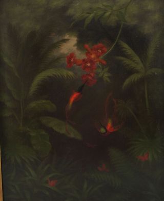 Antique Hummingbird Butterfly Botanical Tropical Amazon Rainforest Oil Painting 2