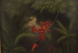 Antique Hummingbird Butterfly Botanical Tropical Amazon Rainforest Oil Painting 3