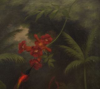 Antique Hummingbird Butterfly Botanical Tropical Amazon Rainforest Oil Painting 5