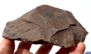 Paleolithic Bi - Face Stone Axe Head Western Sahara artifacts Ref GD.  AX1 3