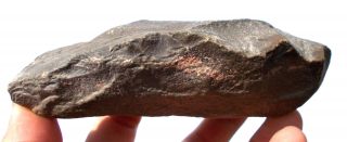 Paleolithic Bi - Face Stone Axe Head Western Sahara artifacts Ref GD.  AX1 4