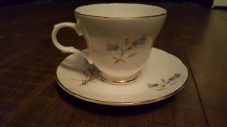 Vintage Crown Trent Fine Bone China Teacup And Saucer