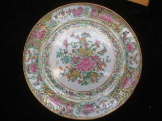 Famille Rose 9&3/34 Inch Plate