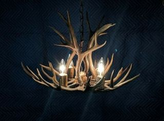 Real Antler Chandelier Mule Deer 4 Light Hanging Lamp Antique Colorado Pendant