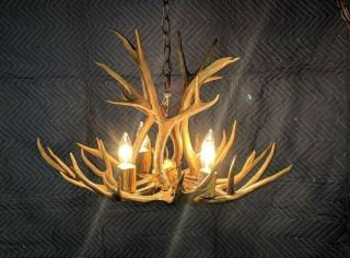 Real antler chandelier mule deer 4 light hanging lamp antique Colorado pendant 6