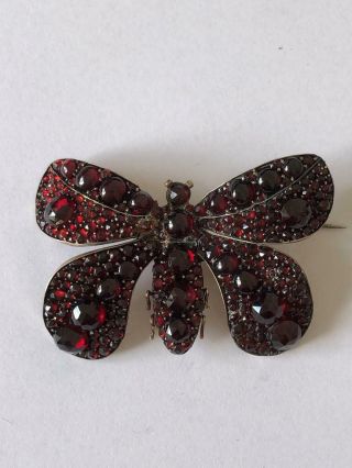Antique Victorian Bohemian Garnet Butterfly Brooch/pin A/f